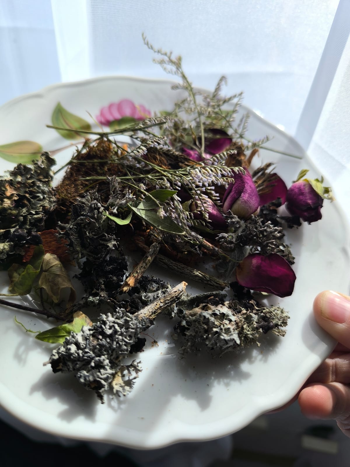 Vom Wald zum Schmuckstück – Trockenblumen und Kräuter für natürliche Ringe
